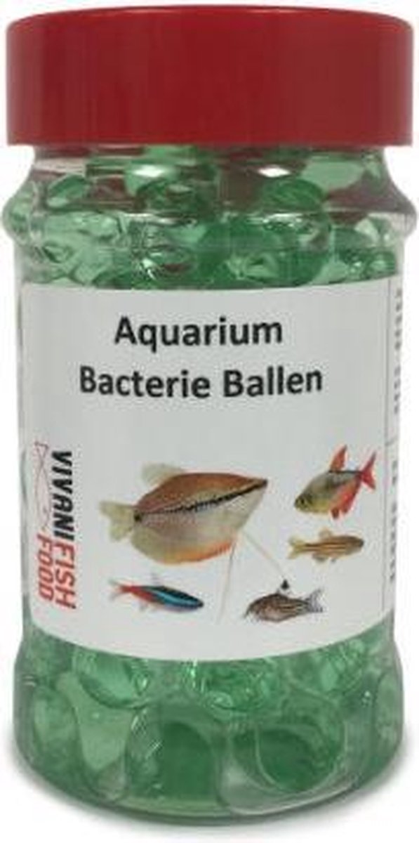 Aquarium Filter Bacterien