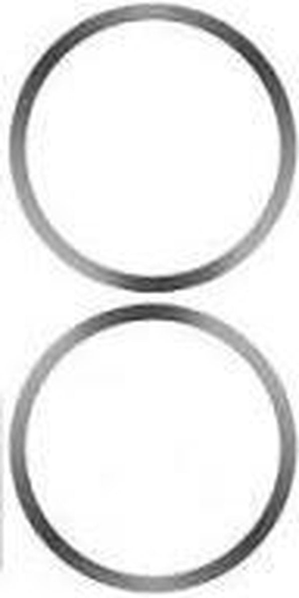 SIGG Replacement Springs For Abt 2 pcs. clear