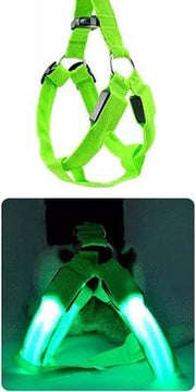 LED - Honden - Tuigje - Groen - S