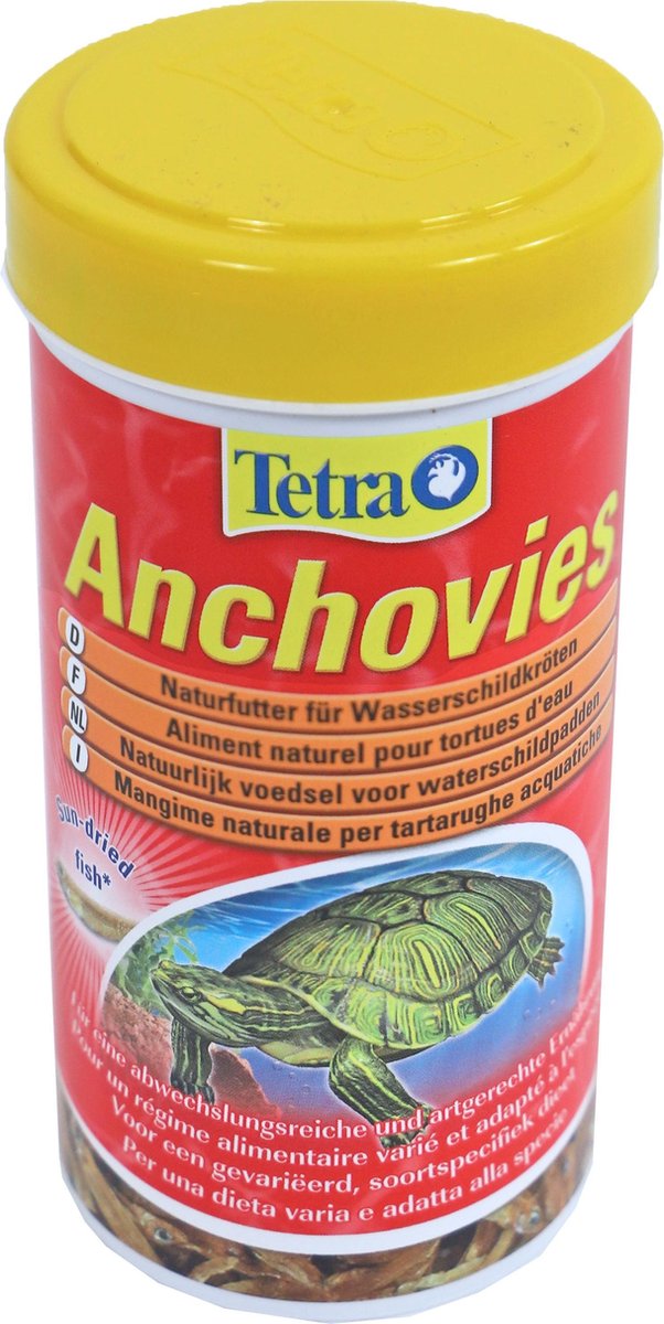 Tetra Anchovies