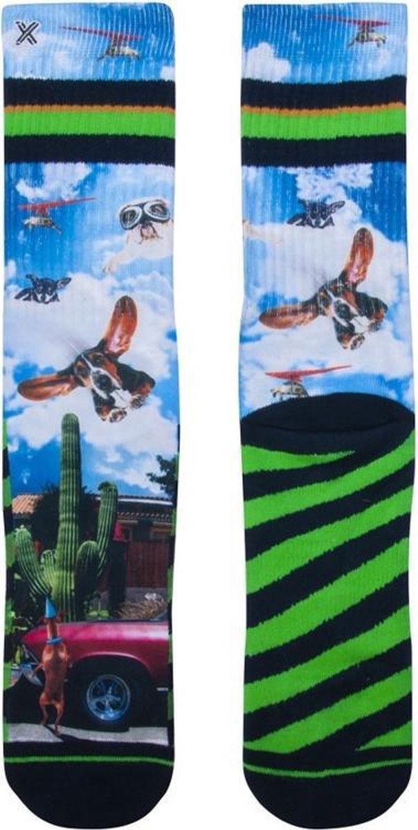 Xpooos Socks Who's first 60199