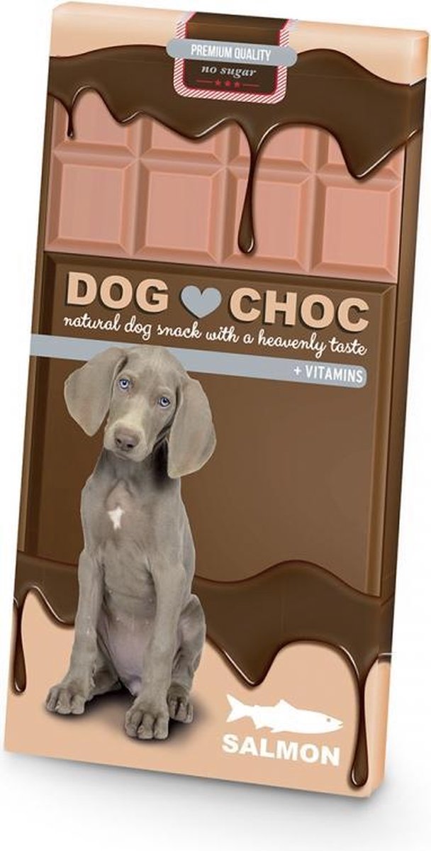 D&D Dog choc zalm 100GR