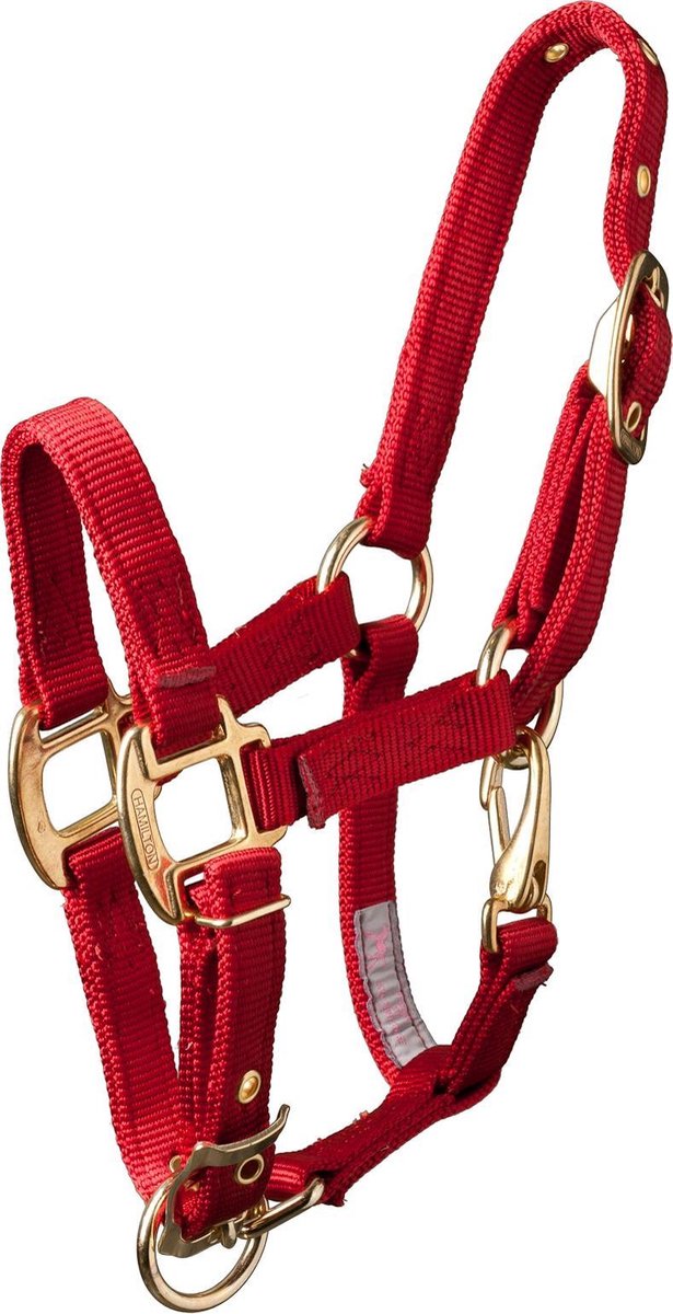 Hamilton Halster Red Pony