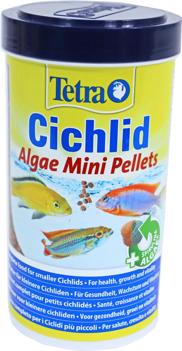 Tetra Cichlid Algae Mini