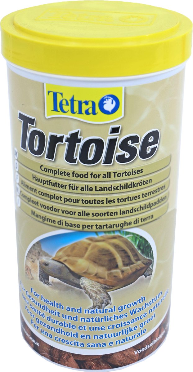 Tetra Tortoise