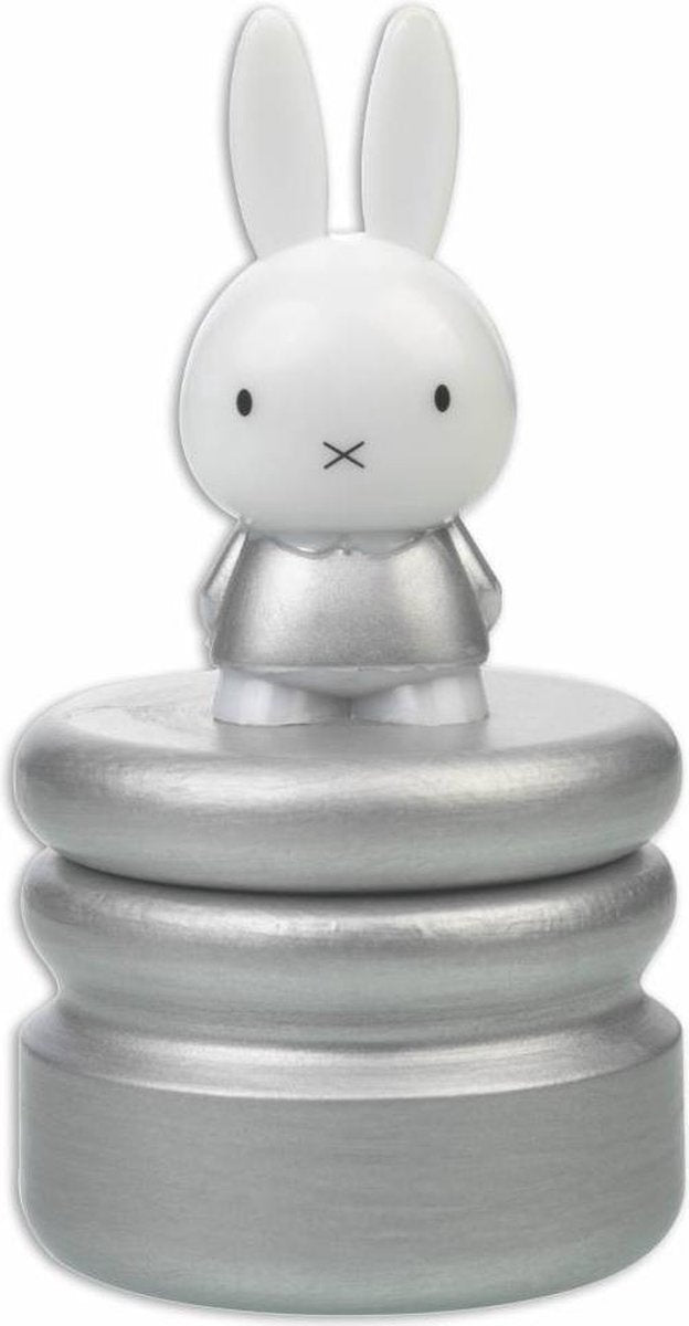 Bambolino Toys Nijntje Tandendoosje - Zilver