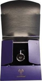 Lichtwesen Sterntaler rond zilver clip