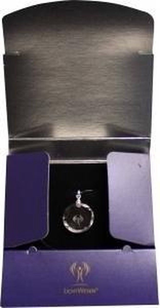 Lichtwesen Sterntaler rond zilver clip