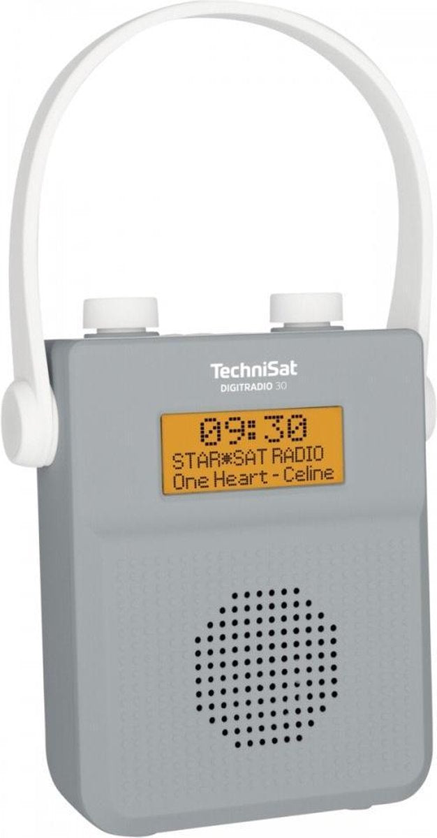 TechniSat DIGITRADIO 30 Zakradio DAB+