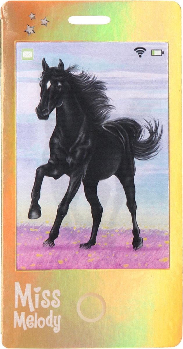 Depesche Miss Melody mobile notebooks