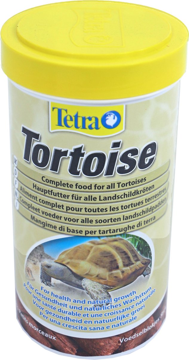 Tetra Tortoise