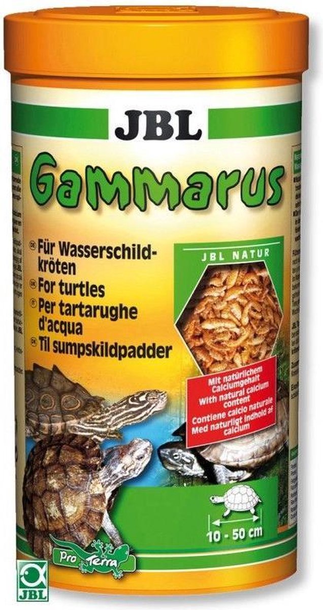 Jbl Gammarus