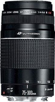 Canon EF 75 - 300mm - f/4-5.6 III USM