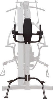 Vertical Knee-Raise / Dip Station FKR