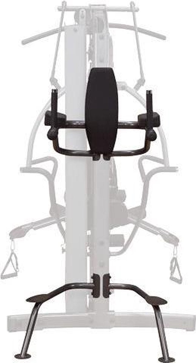 Vertical Knee-Raise / Dip Station FKR