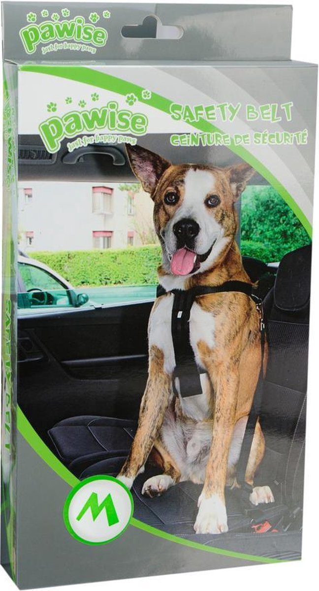 Harness and safety belt Medium