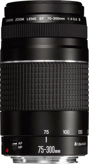 Canon EF 75-300mm f/4-5.6 III