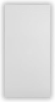 Ecosun E600 Infrarood Verwarmingspaneel - Infrarood Verwarming / Infraroodpaneel - 600 watt - Systeemplafond en plafond - Thermokristalcoating structuur infrarood paneel - Zonder stekker