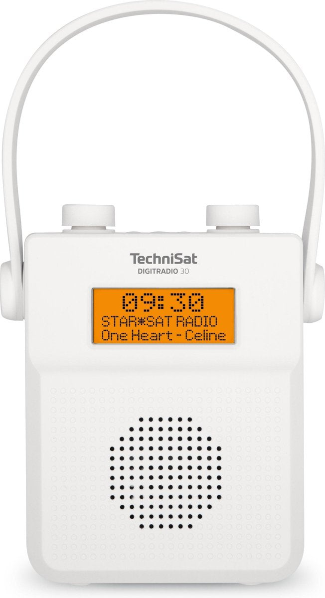 TechniSat DIGITRADIO 30 Zakradio DAB+