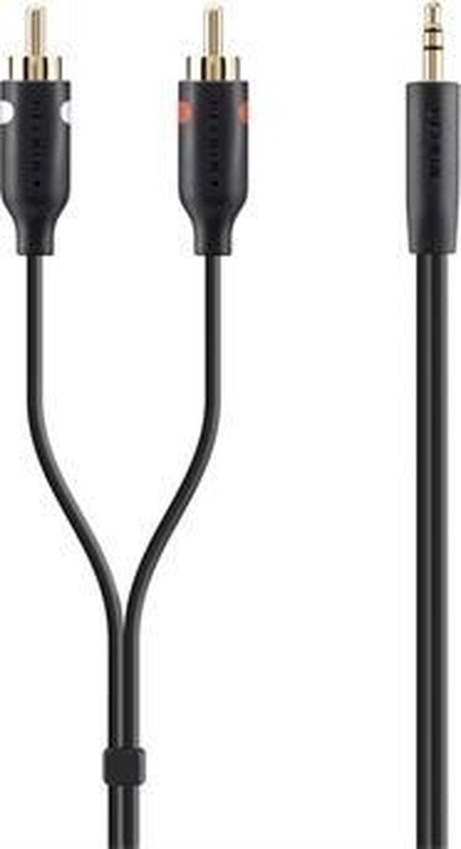 Belkin - Audiokabel - RCA x 2 (M) naar stereo ministekker (M) - 2 m - dubbel afgeschermd