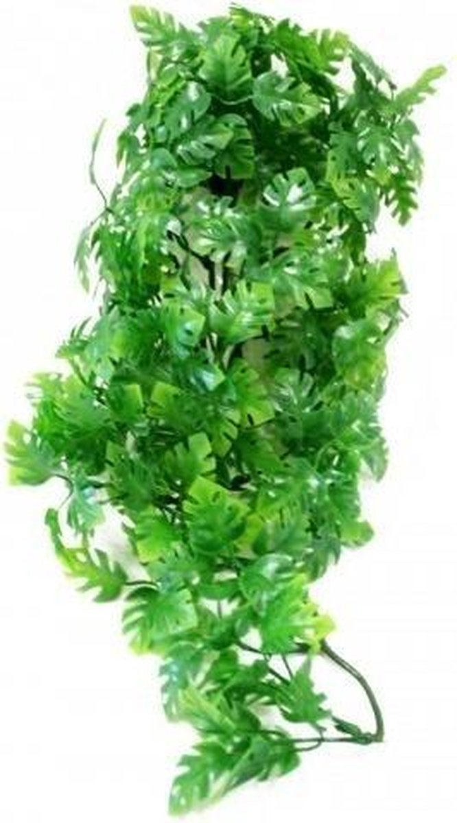 ZooMed - naturalistic flora - amazonian phyllo - small - terrariumplant