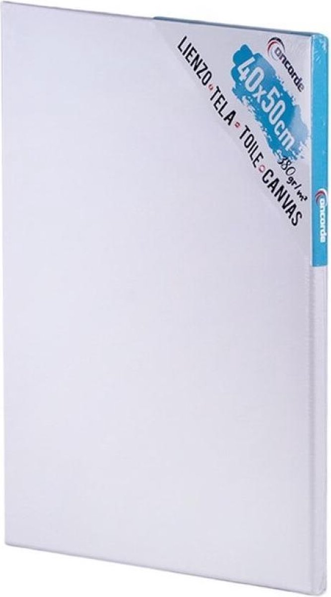 Canvas schildersdoek 40 x 50 cm - DIY hobbymaterialen artikelen - Schilderijen maken