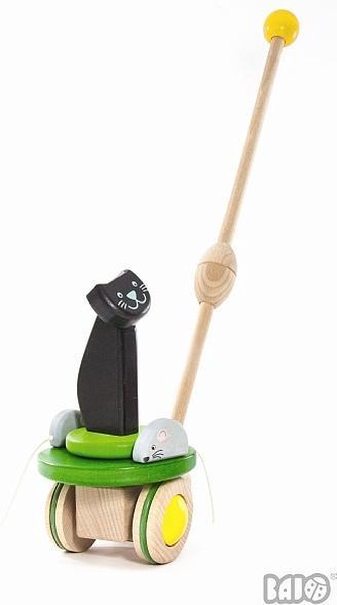 Bajo Mice & cat