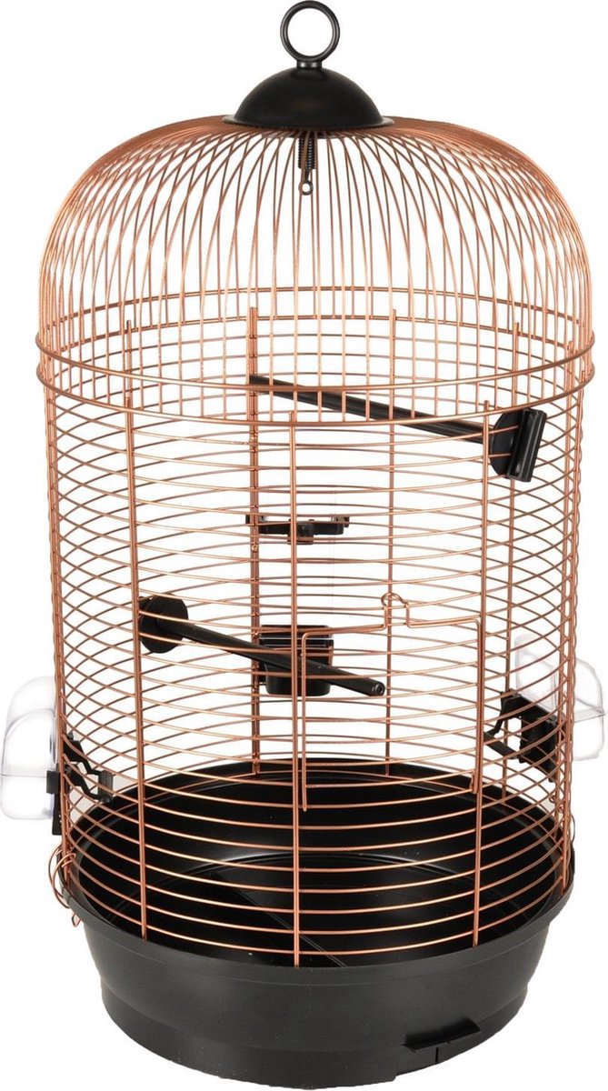 Vogelkooi Sanna 2