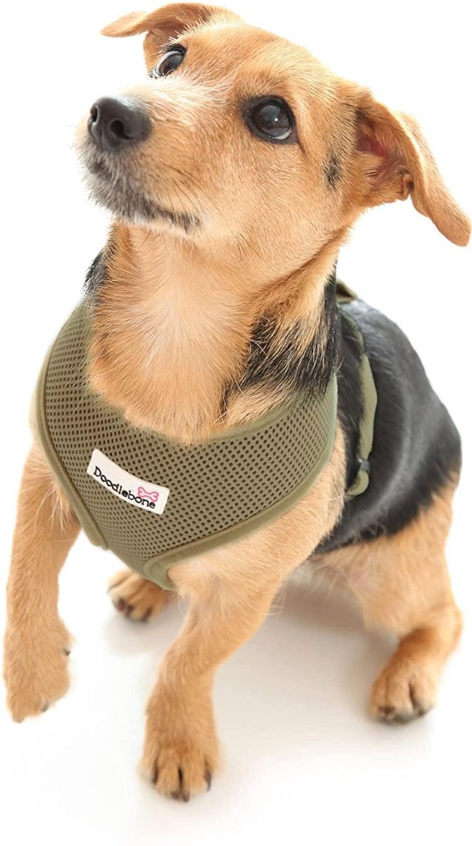 Doodlebone Hondentuig Air 44 X 63-92 Cm Mesh Cyaan Maat Xl