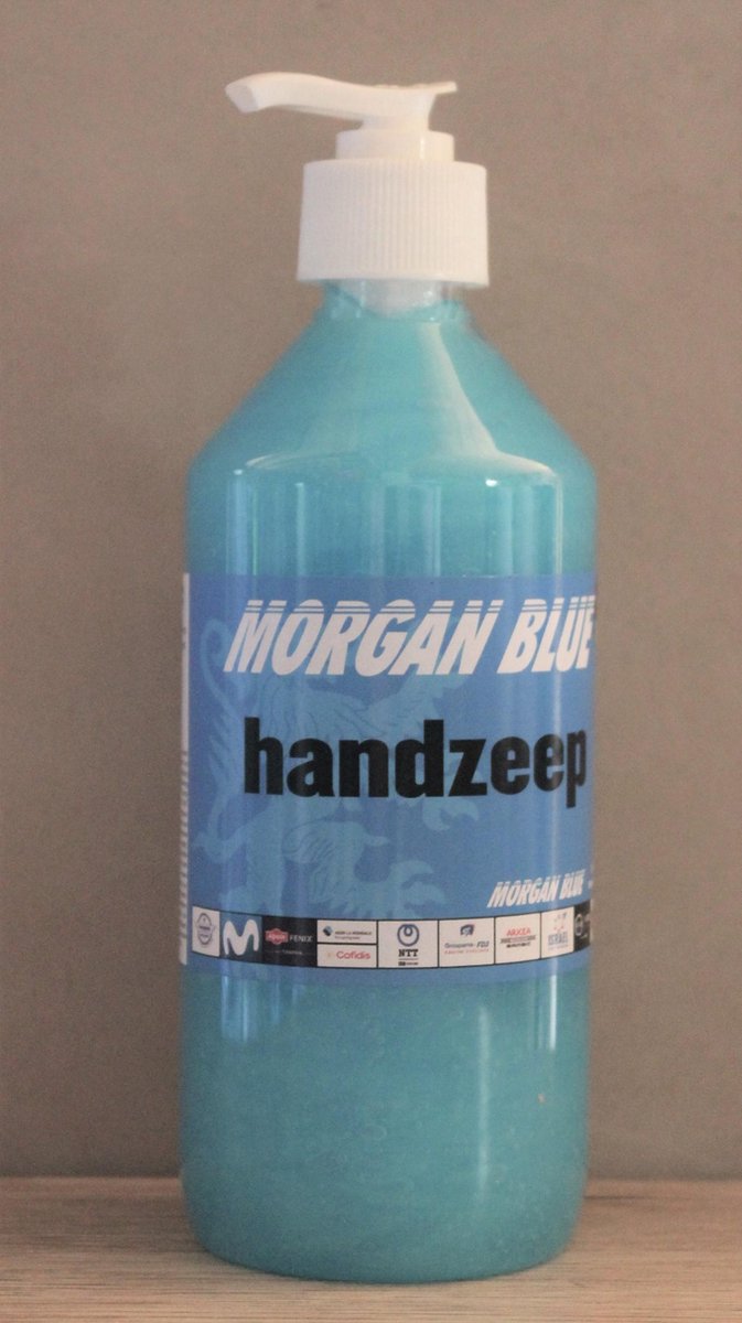 Handreiniger 500ml Morgan Blue