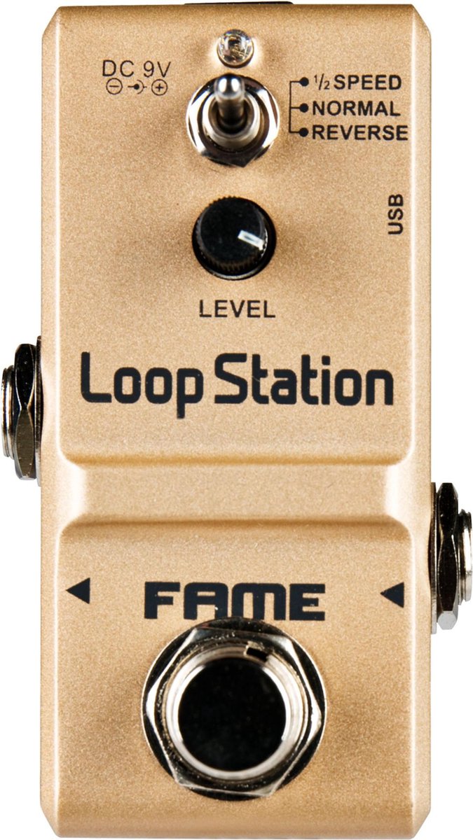 Looper/Looprecorder - Fame Loop Station