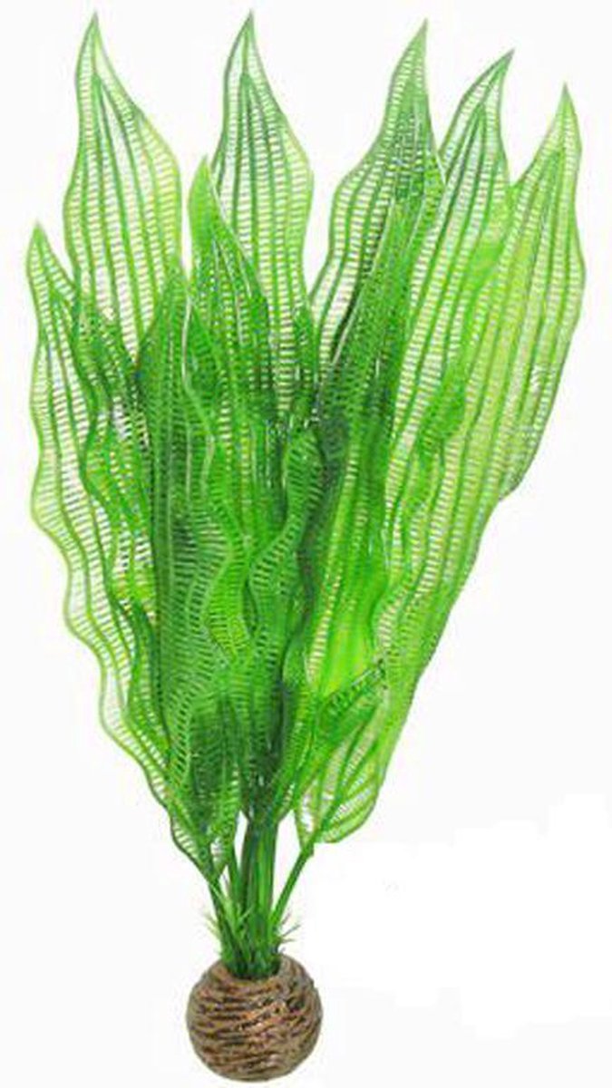 Superfish easy plants hoog nr. 5