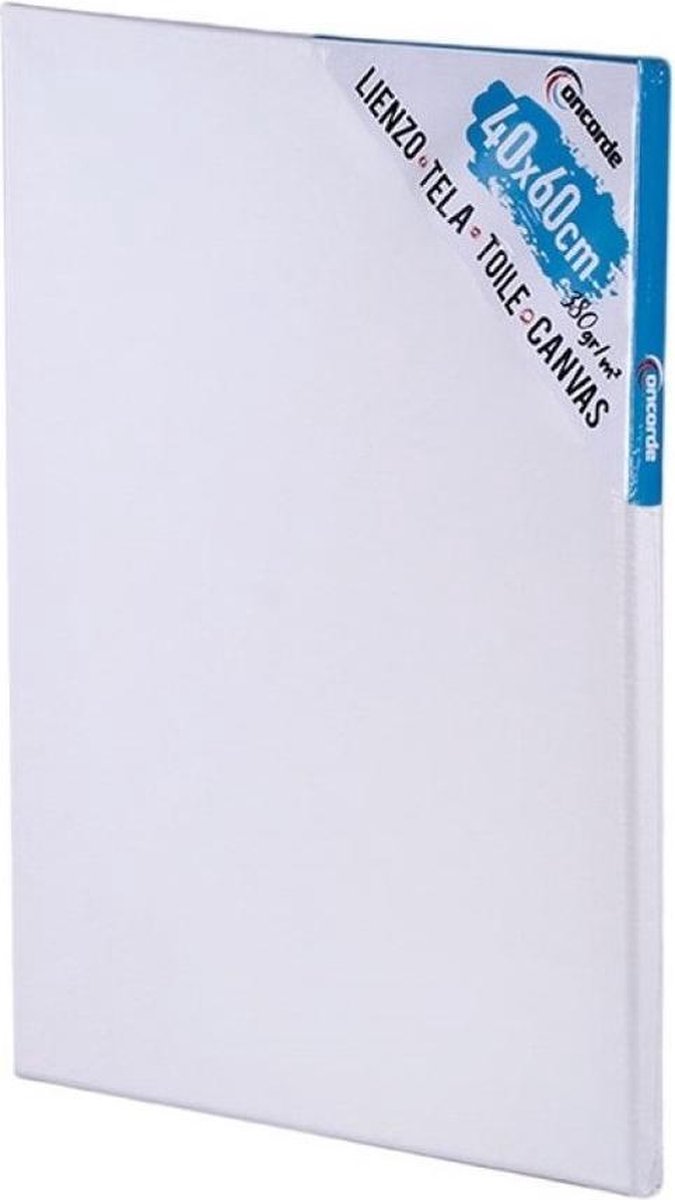 Canvas schildersdoek 40 x 60 cm - DIY hobbymaterialen artikelen - Schilderijen maken