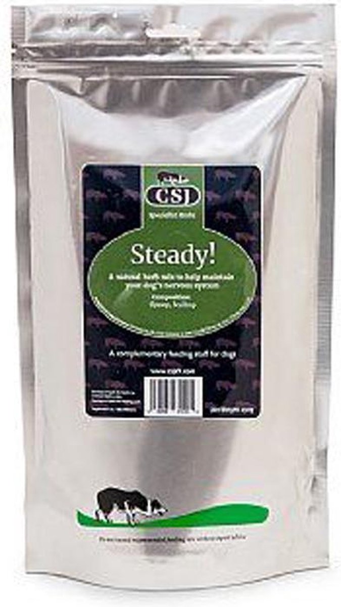 CSJ Steady