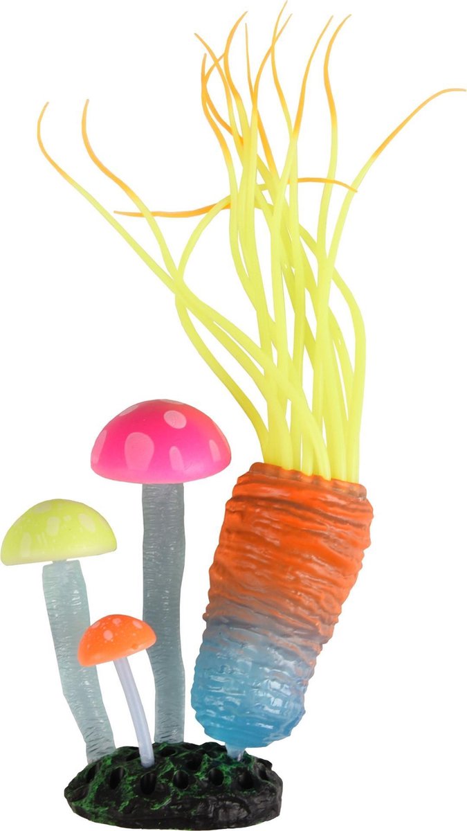 Ad fluo anemoon paddenstoelen assorti 7x3