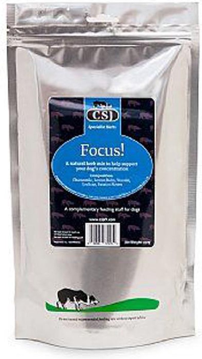 CSJ Focus!