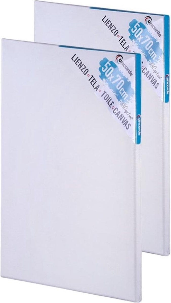 2x stuks canvas schildersdoeken 50 x 70 cm - Diy hobbymaterialen artikelen - Schilderijen maken