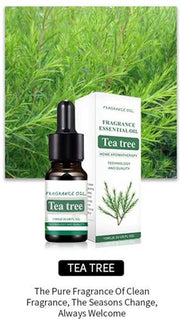 DW4Trading® Essentiële etherische geur olie Tea tree