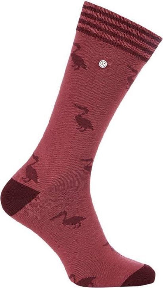 Alfredo Gonzales Pelican Bordeaux