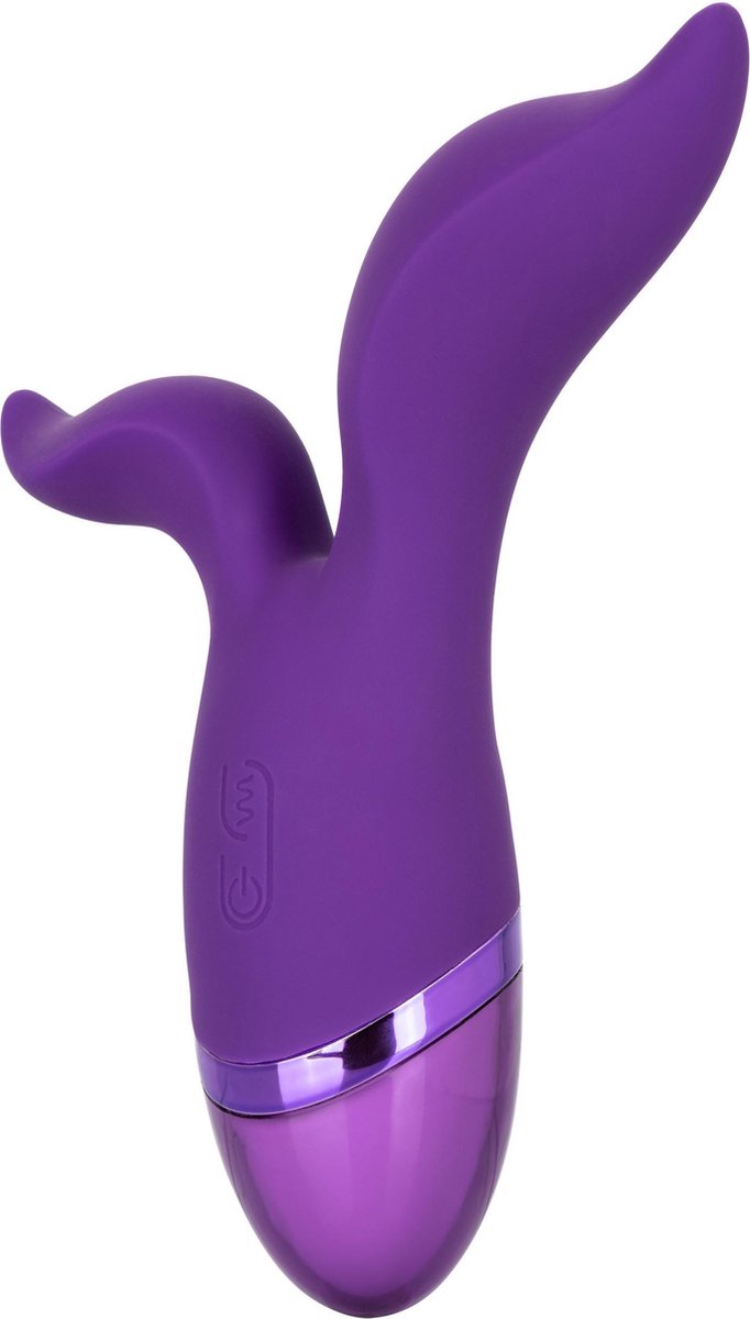 Aura Duo