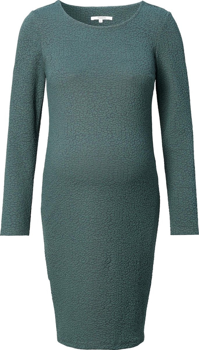 Noppies Jurk Brentwood Zwangerschap Maat XL