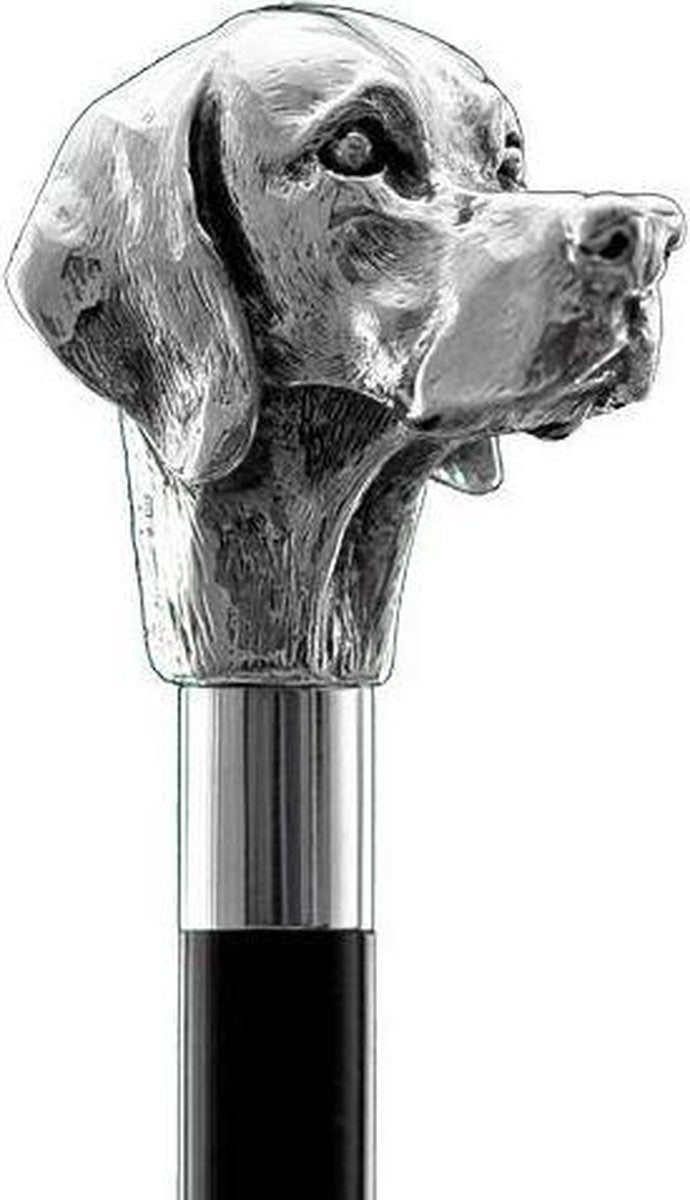 MadDeco - Ierse Setter - Beukenhouten wandelstok met zilver verguld handvat - Italiaans design