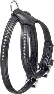 Monte carlo harness