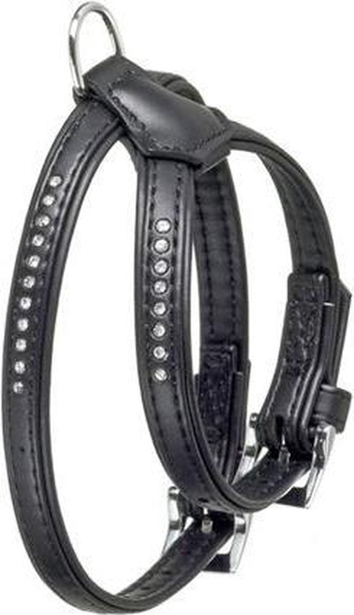 Monte carlo harness