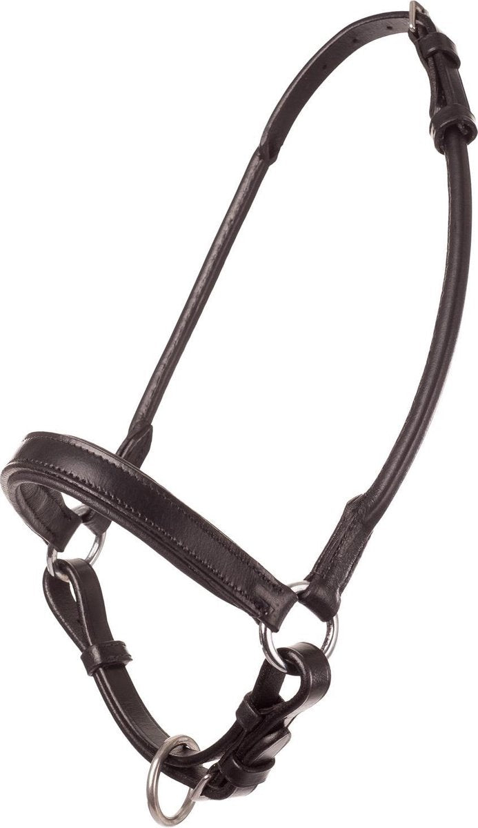 MHS Showhalster Orion mt 1