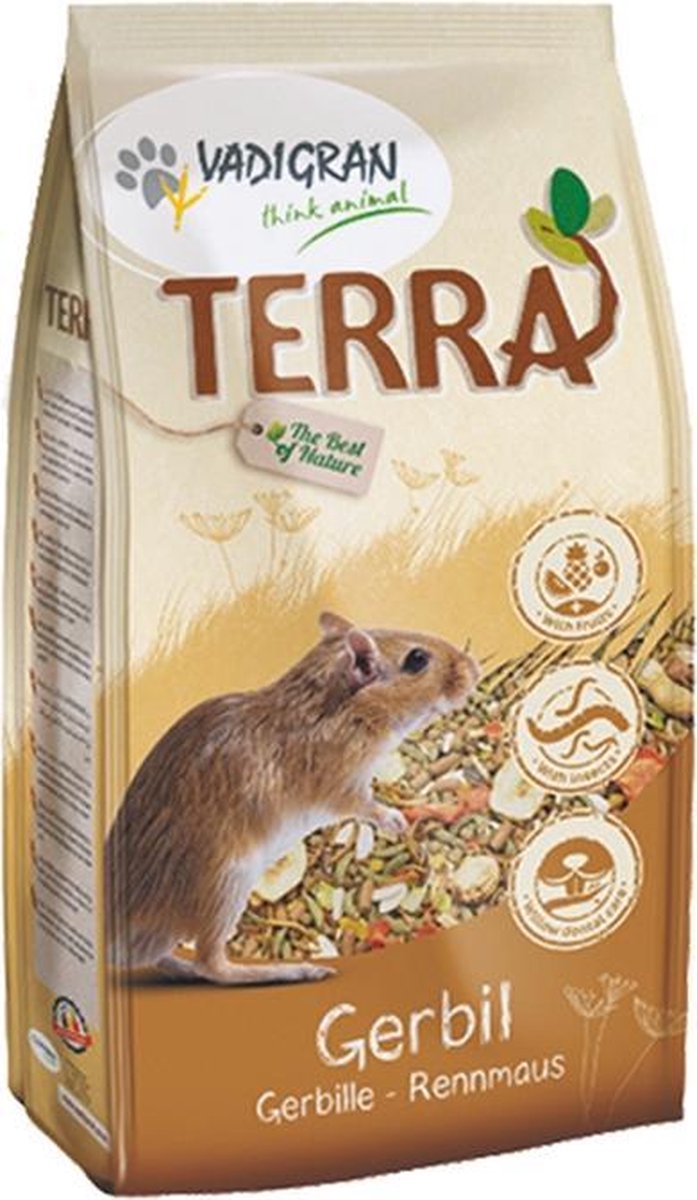 Terra gerbil  à 700 gram
