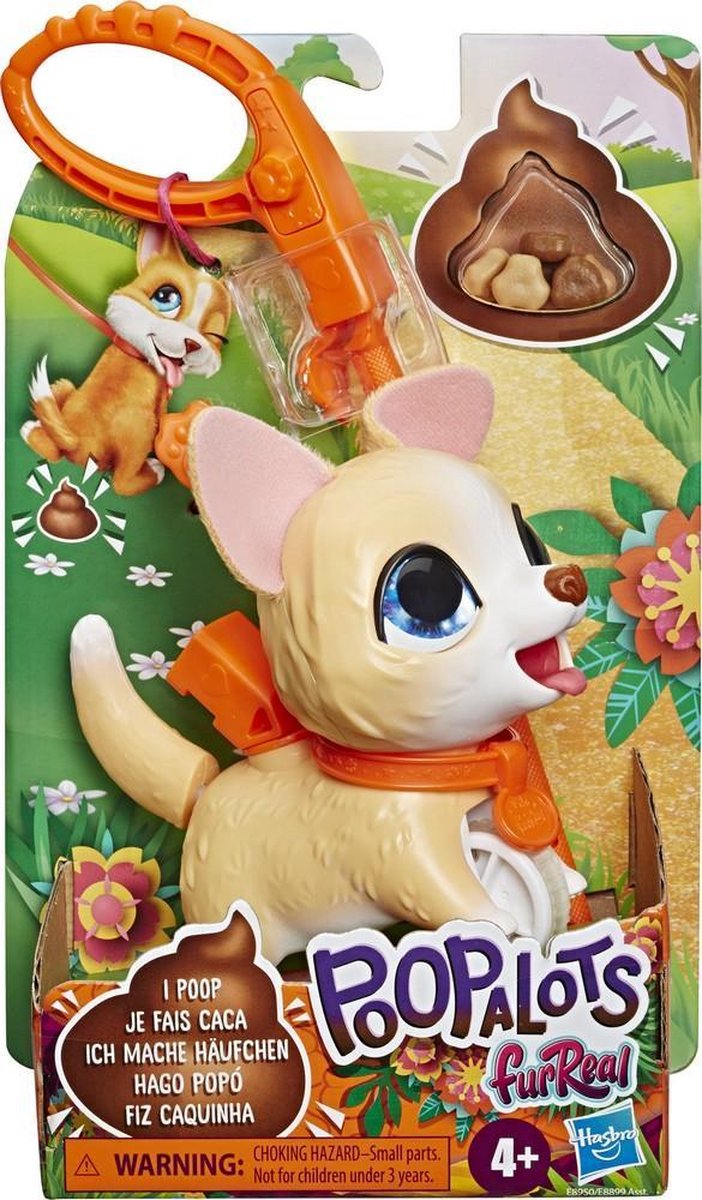 Corgi