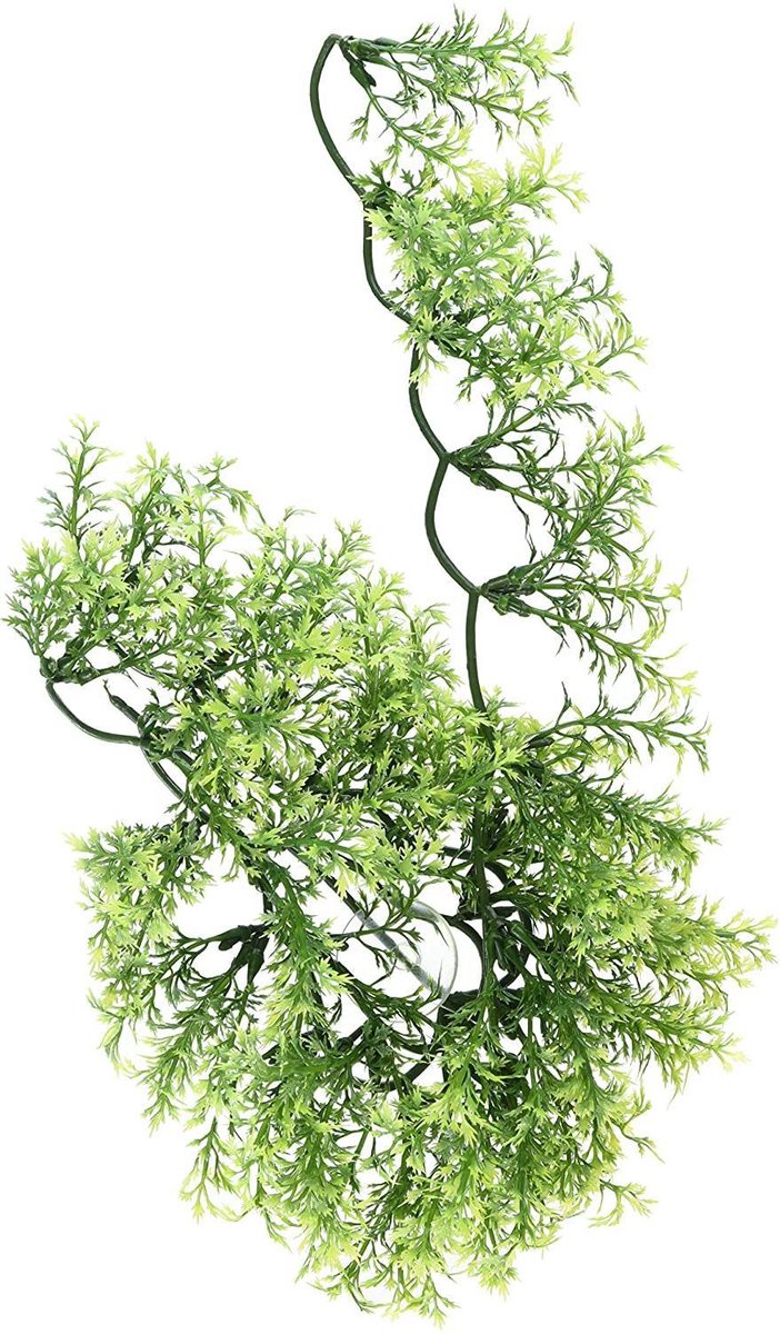 ZooMed - naturalistic flora - australian maple - small - terrariumplant
