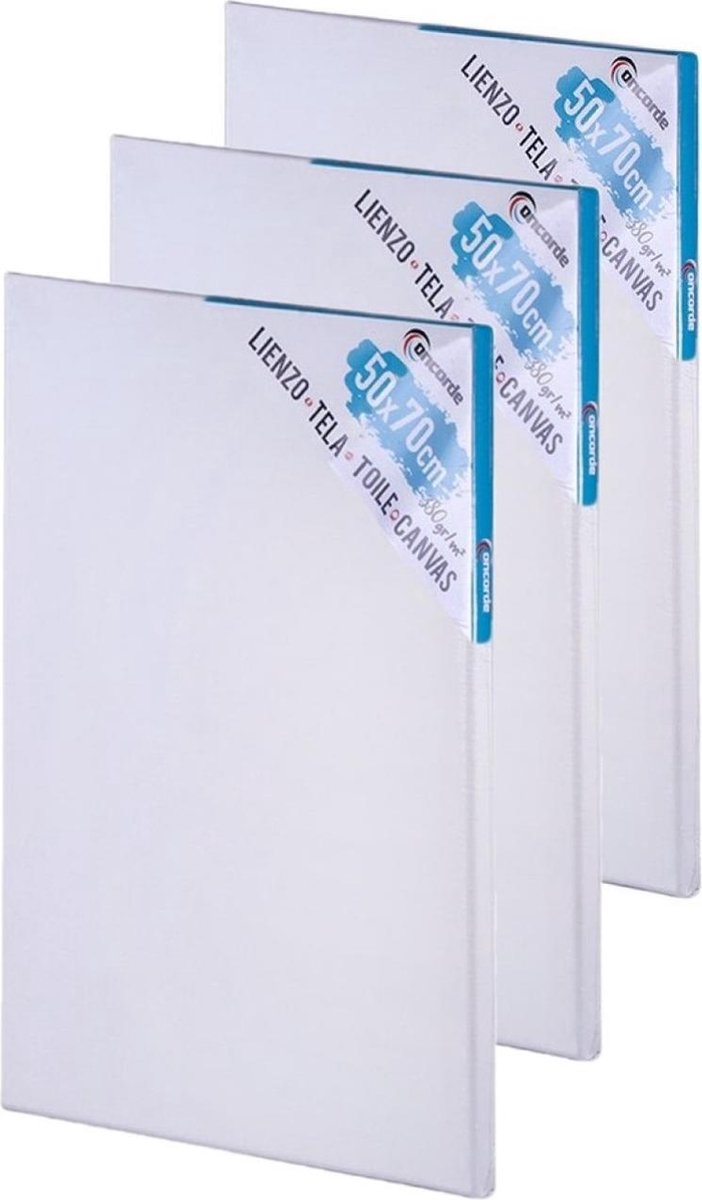 3x stuks canvas schildersdoeken 50 x 70 cm - Diy hobbymaterialen artikelen - Schilderijen maken