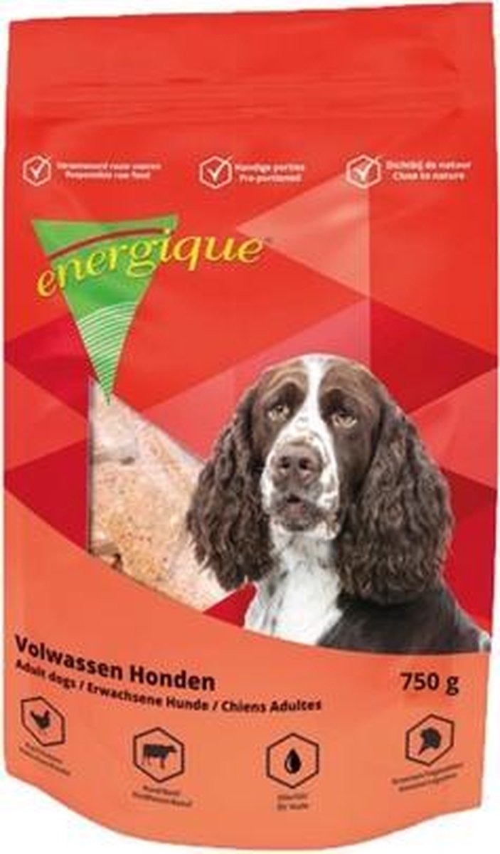 Energique nr 1 volwassen hond - 750 gr - 1 stuks